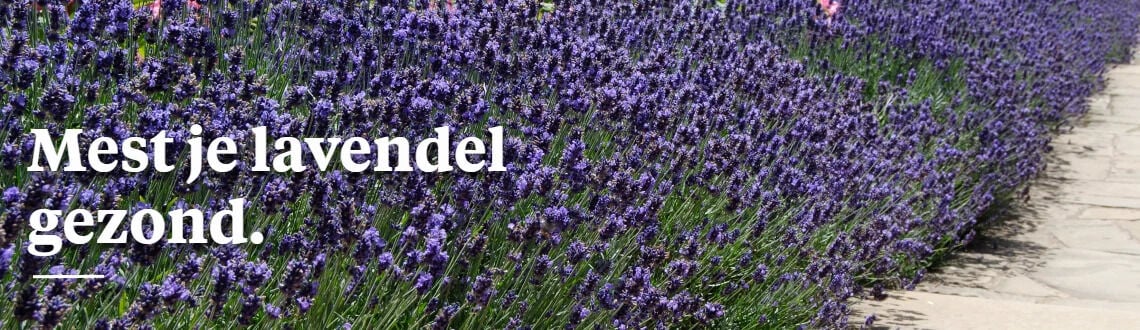 [paste advice page name here]